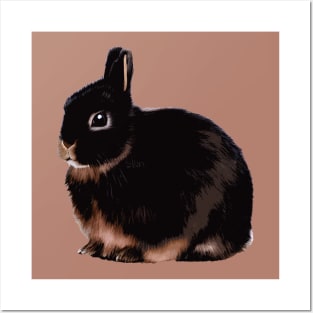 Chubby Bunny Black Otter Netherland Dwarf Rabbit Posters and Art